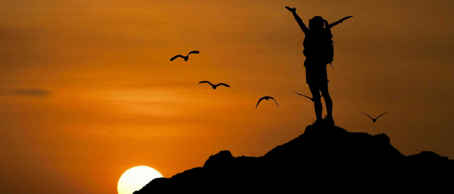 Sunset Birds Person Silhoutte