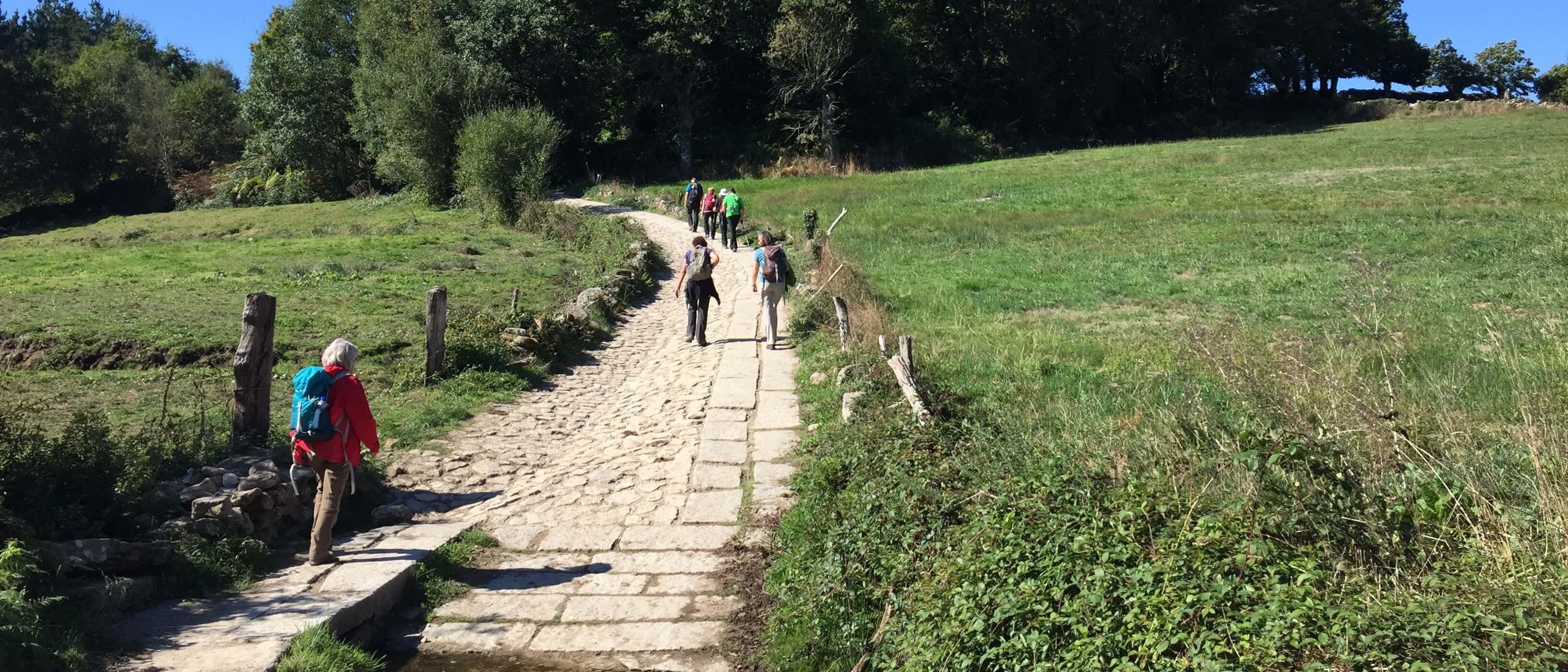 Group walking on Camino de Santiago